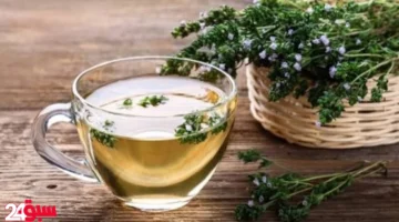 الزعتر ليس مجرد نكهة: سر تعزيز المناعة وحماية القلب والجهاز التنفسي